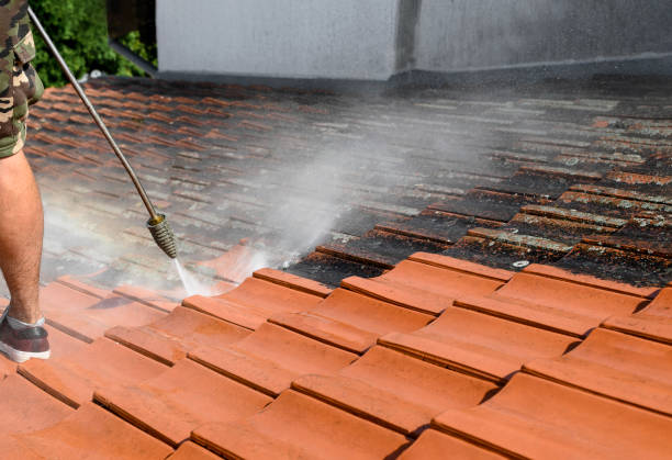 Best Exterior Home Cleaning  in State Center, IA